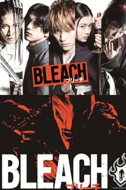 Bleach
