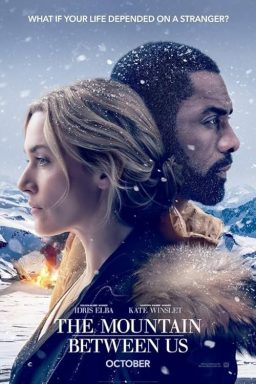 The Mountain Between Us - 2017